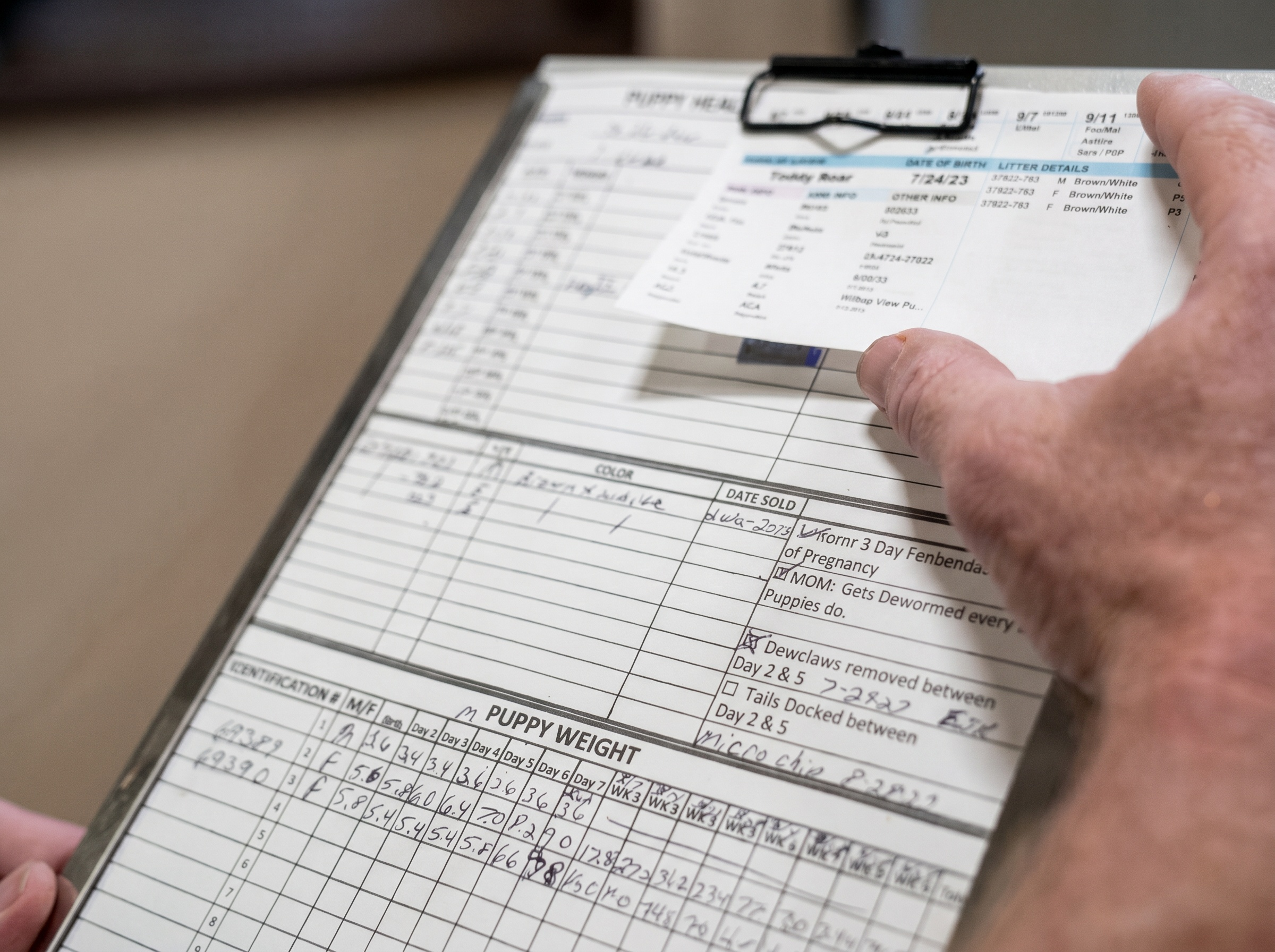 Structured documentation and development tracking for each Windy City Pups litter