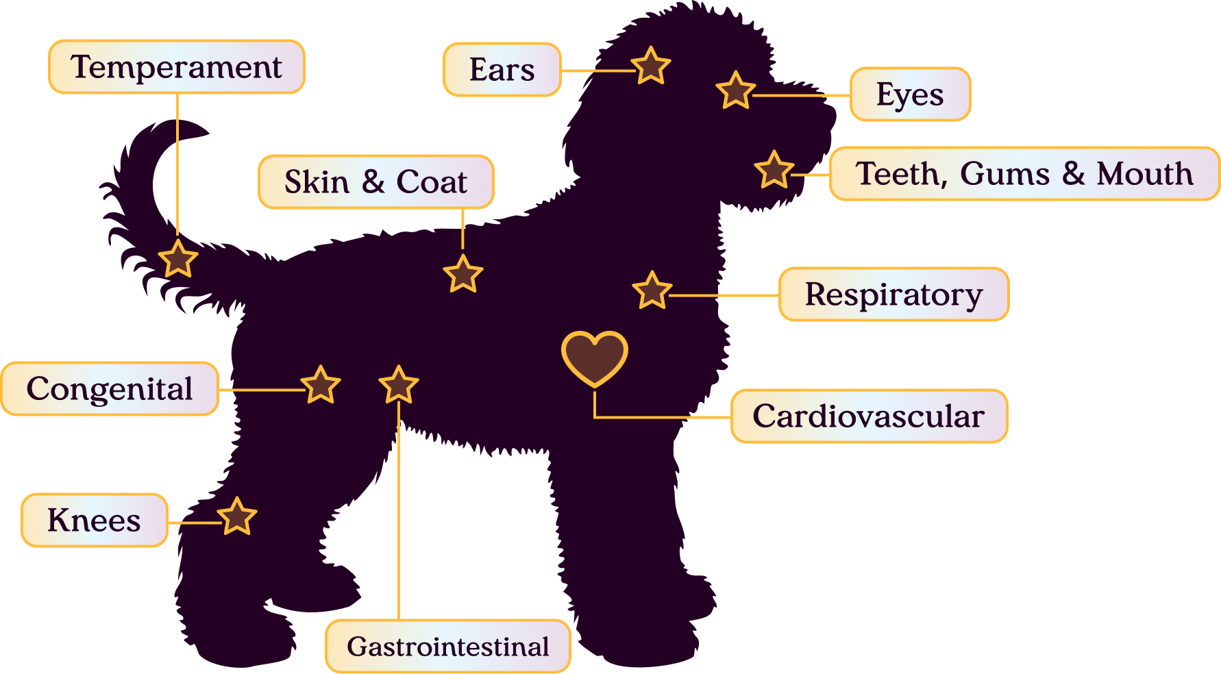Diagram of the 12-point nose-to-tail veterinary examination areas on a puppy