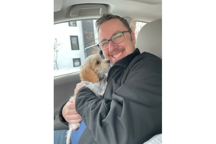 Happy Cavapoo Baby