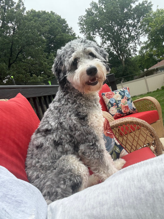 Winnie