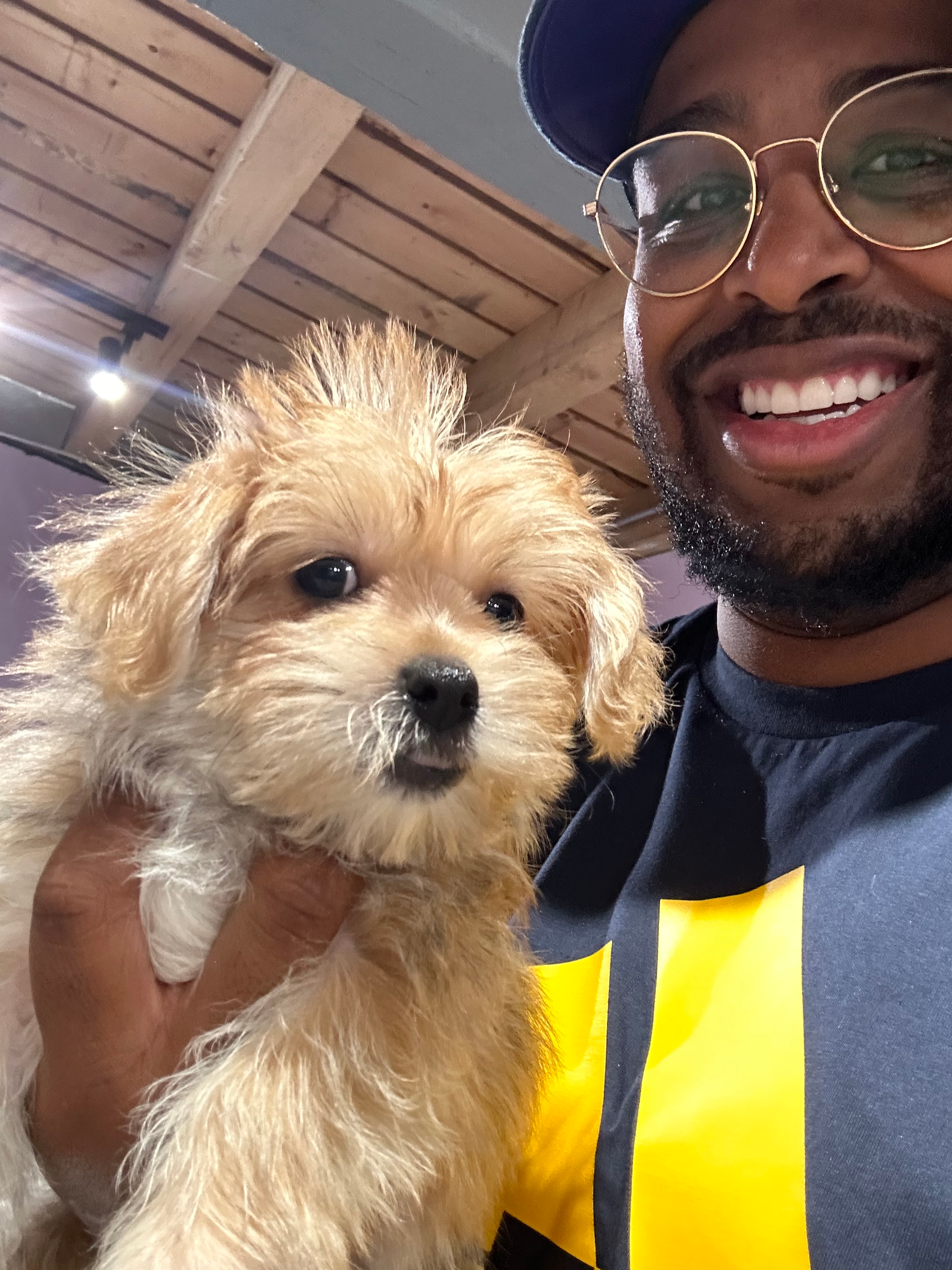Best Morkie Baby