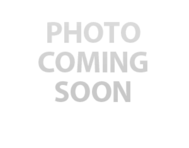 13 week old Mini Aussie Puppy For Sale - Windy City Pups