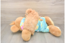 Best Poodle Baby