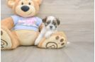 Cute Teddy Bear Baby