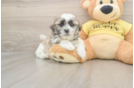 Sweet Teddy Bear Baby