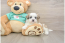 Friendly Teddy Bear Baby