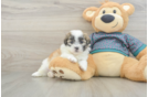 Small Teddy Bear Baby