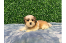 Best Teddy Bear Baby