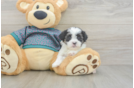Friendly Teddy Bear Baby