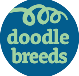 Doodle Breeds Puppies For Sale - Windy City Pups