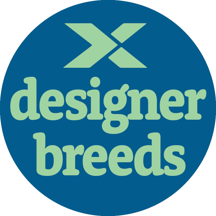 Designer Breeds Puppy For Sale - Windy City Pups